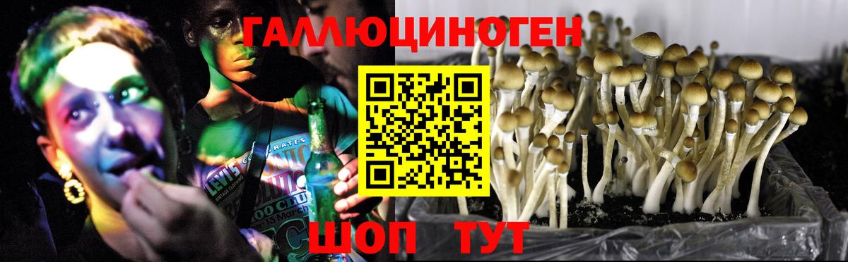 Псилоцибиновые грибы мухоморы  Вход с VPN  Чапаевск 